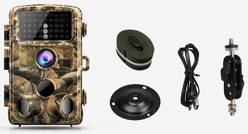 Campark Trail Camera-Waterproof 14MP 1080P Game review