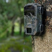 Best 15 Game & Trail Cameras For The Money Reviews & Guide