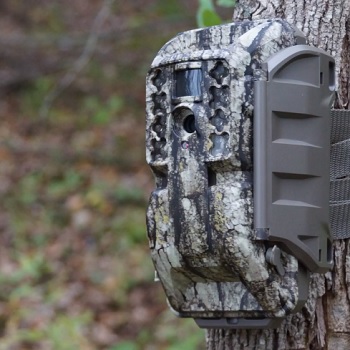 cellular-game-trail-camera