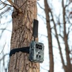 Best 5 No Glow (No Flash) Infrared Game Trail Camera Reviews