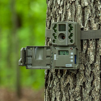 small-game-trail-camera