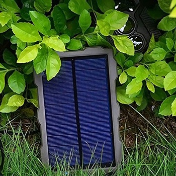 solar-powered-game-trail-camera