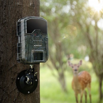 wildlife-camera