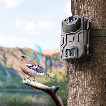 motion sensor camera outdoor wildlife